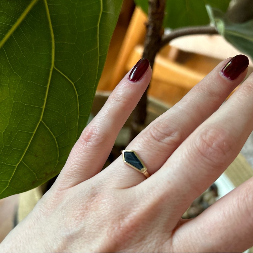 Spiderweb Obsidian Coffin Ring - 10k gold